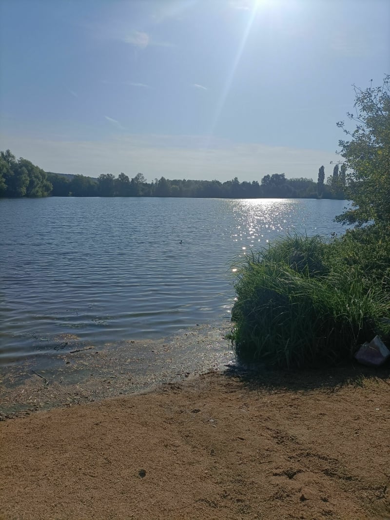 Etangs de Condé-sur-Risle - Condé-sur-Risle