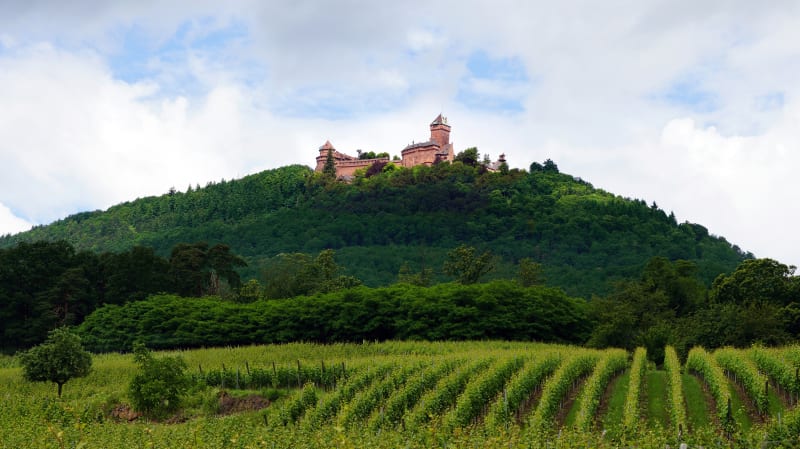 A la conquête du Haut-Koenigsbourg - Kintzheim