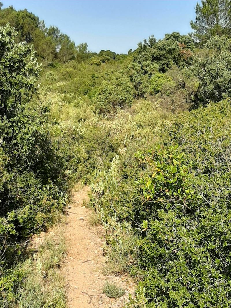Boucle autour de Sallèles d'Aude - Sallèles-d'Aude