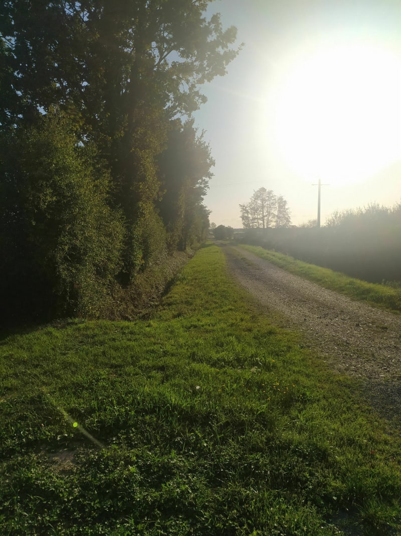 La Sorderie. Balade en campagne - Legé