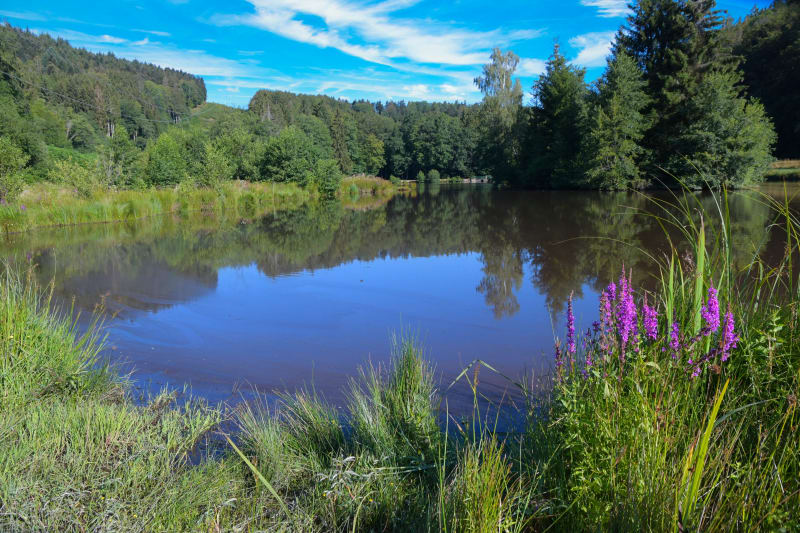 La Haute Vallée de la Bruche - Schirmeck