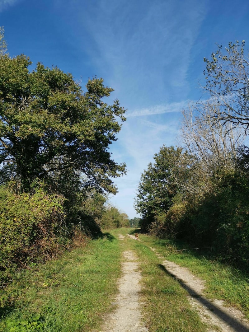 Entre champs et bourg à Saint-Antoine-du-Rocher - Saint-Antoine-du-Rocher