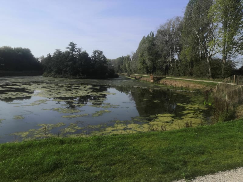 Circuit VTT dans les monts des Flandre et alentours - Bailleul