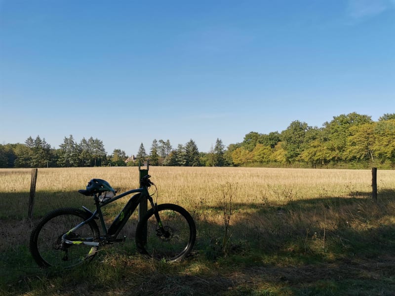 A VTT dans les Bois de La Ferté - Saint-Germain-lès-Buxy