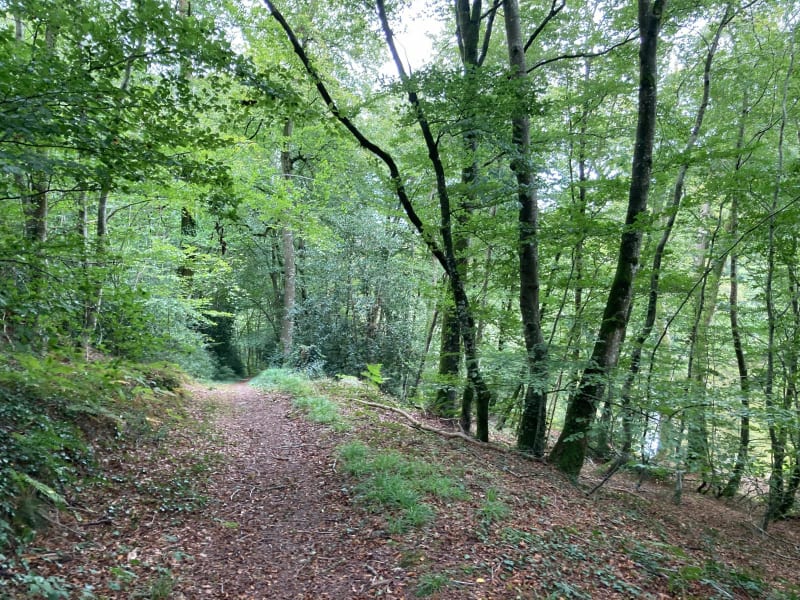 Circuit entre La Barre de Semilly et les étangs de St Pierre - La Barre-de-Semilly