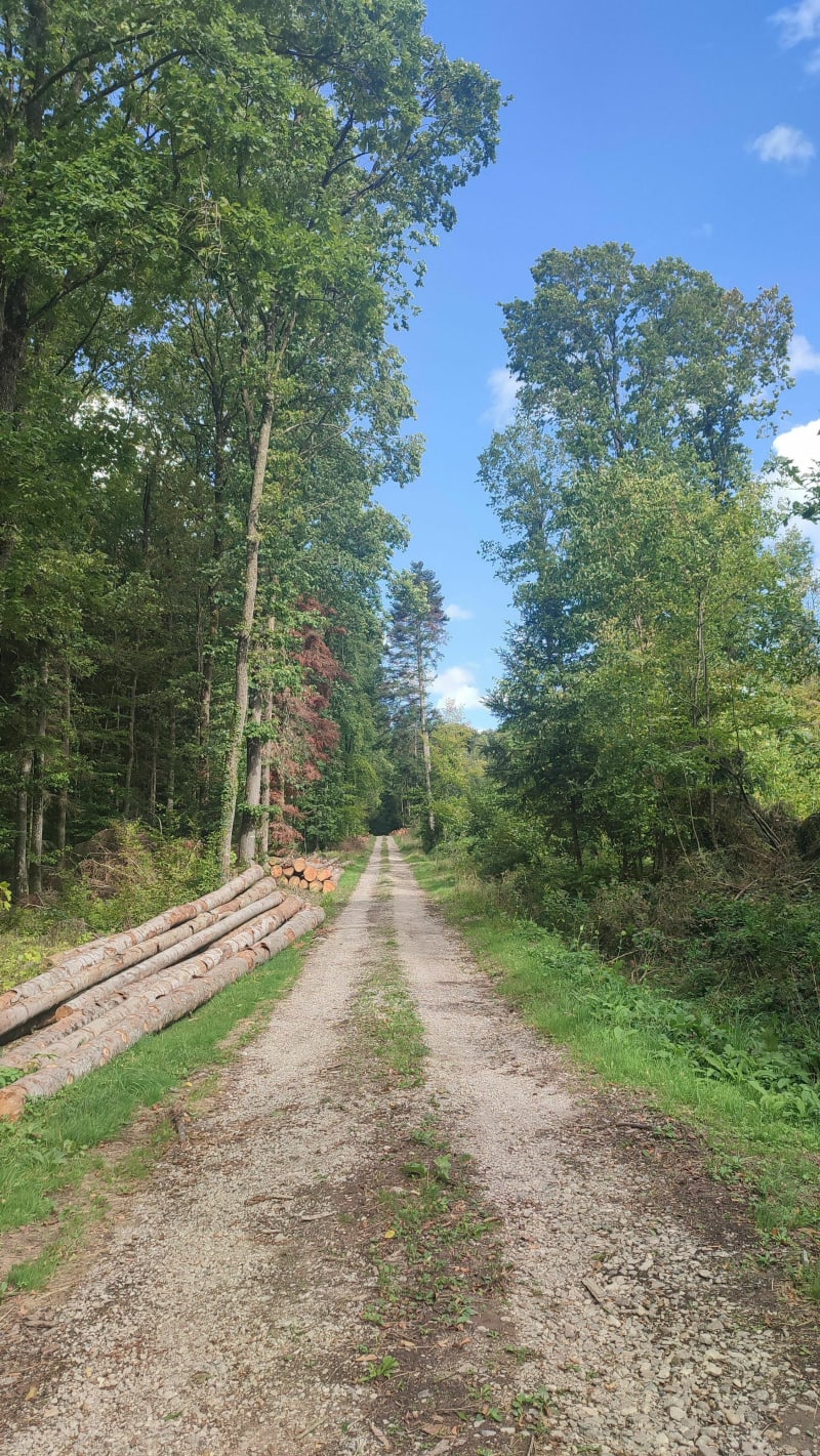 Off road secteur Mackwiller-Adamswiller - Mackwiller