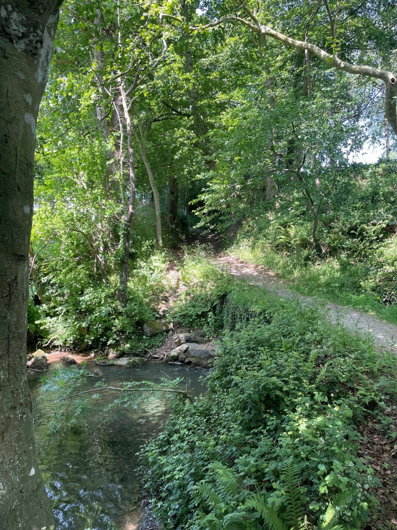Proche de Granville, balade entre le Bosc et la Vanlée - Yquelon