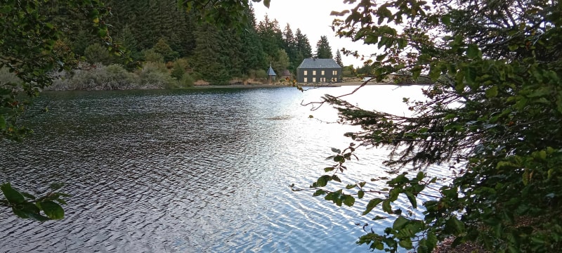 Du Puy du Montchal au lac de Montcineyre - Besse-et-Saint-Anastaise