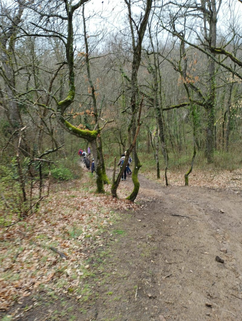 Tour des trois croix - Saint-Galmier