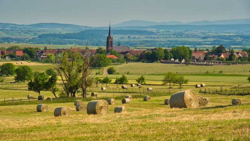 Patrimoine Judéo-Alsacien - Hochfelden