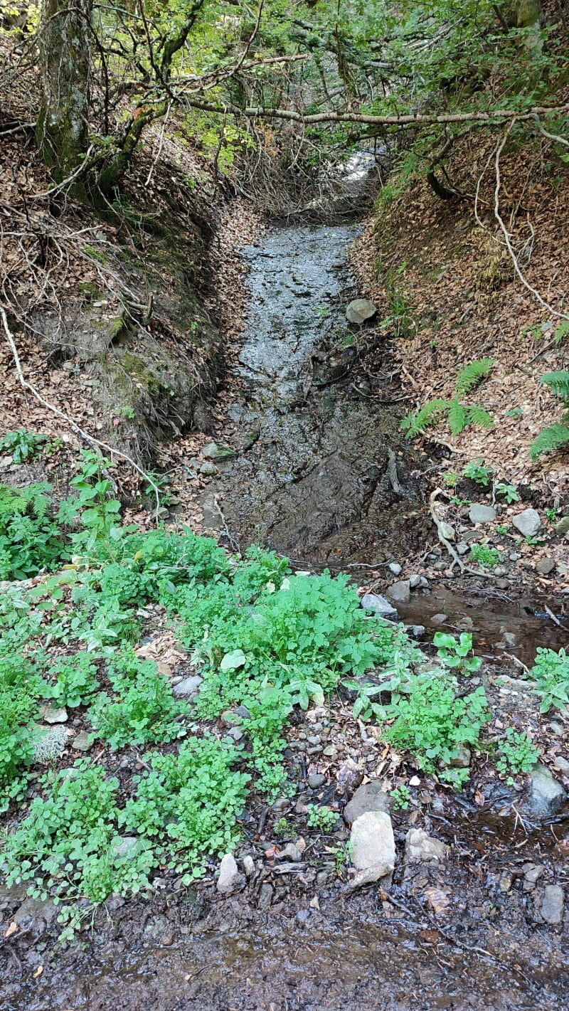 Jolie balade à La  Babiniére - Vigneux-de-Bretagne