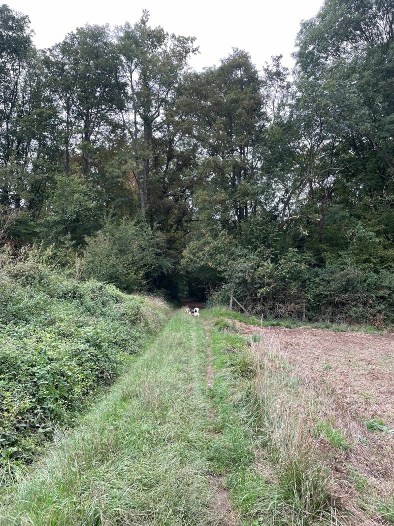 Tour Authevernes par le Bois Moulin - Authevernes