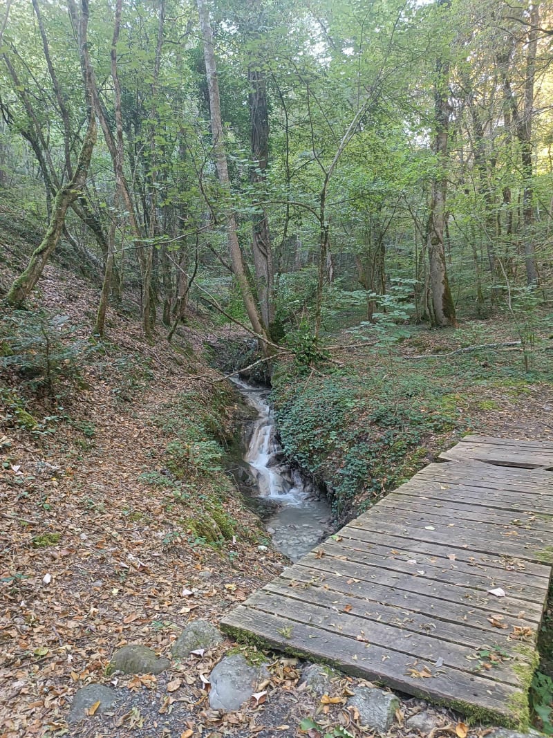 De Saint-Jean-d'Hérans au Drac - Saint-Jean-d'Hérans