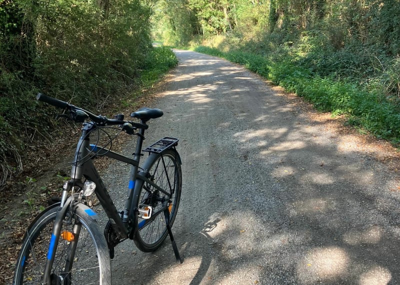 Boucle vers la Chaussée Neuve - Saint-André-des-Eaux