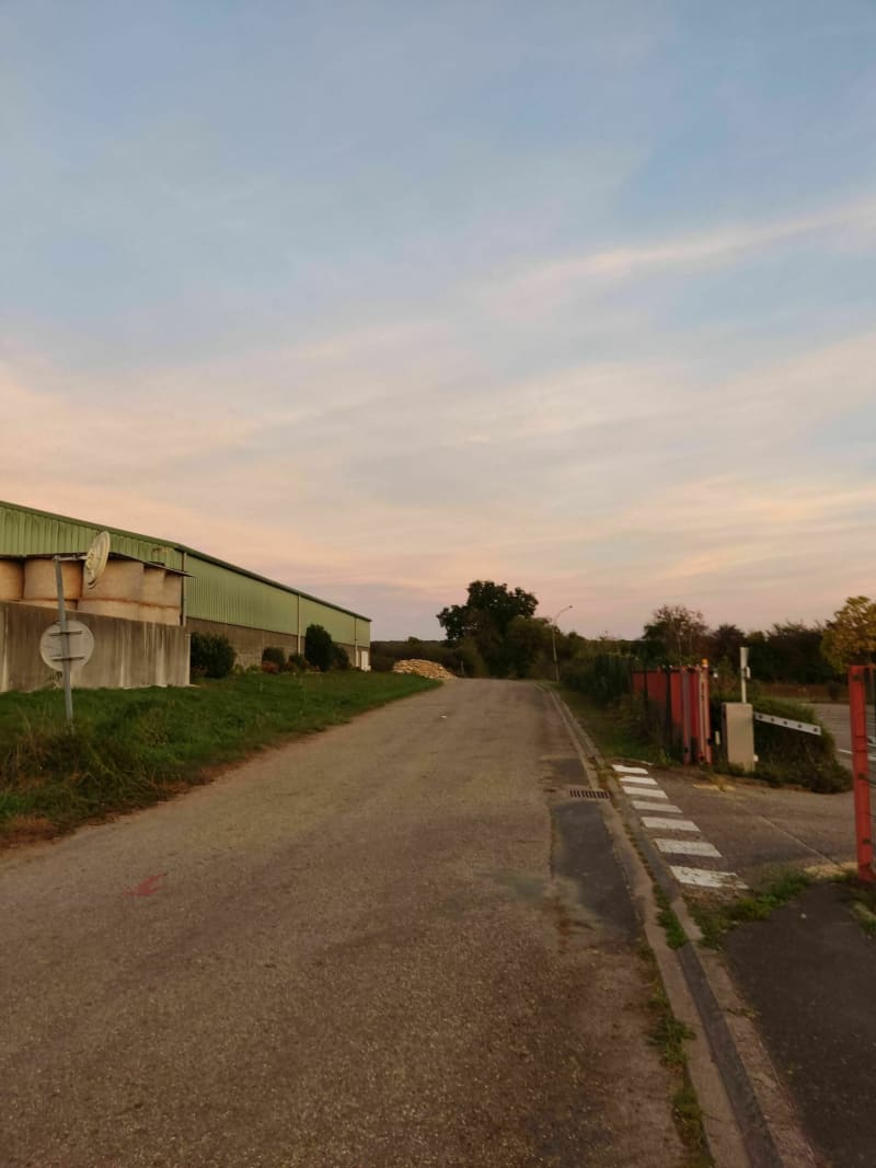Parcours forêt de Réding - Réding