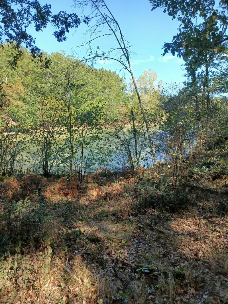 Sortie VTT partie basse de Bouconne  au départ de Colomiers - Colomiers
