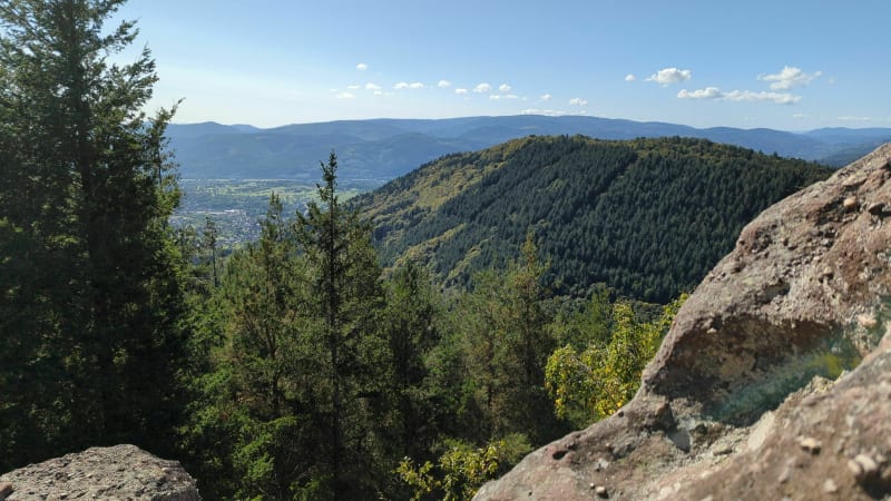 Sur les hauteurs d'Oberhaslach - Still