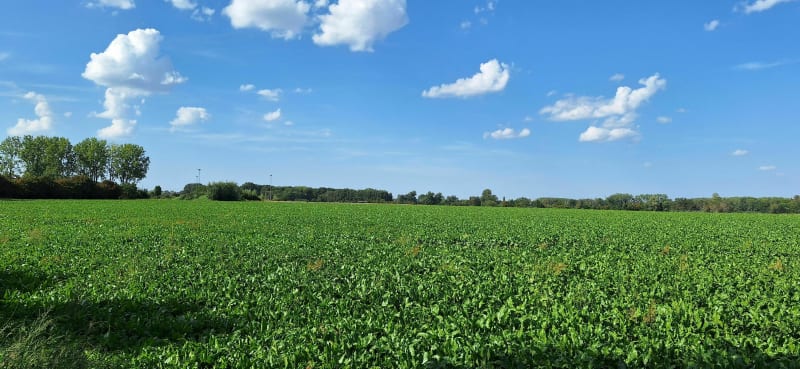 Promenade dans Raimbeaucourt - Raimbeaucourt