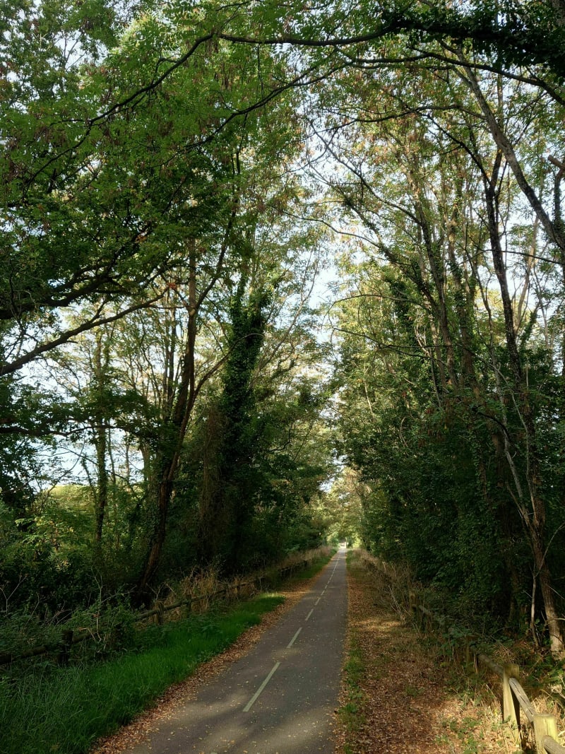 VTT Saint André d'Ornay à Aizenay - La Roche-sur-Yon