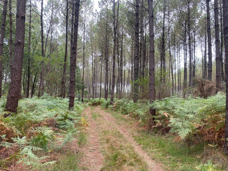 Petite balade à Lesgor - Lesgor