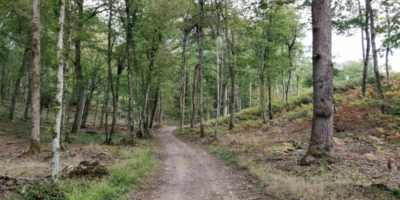 Arnières - Entre champs et forêts - Arnières-sur-Iton