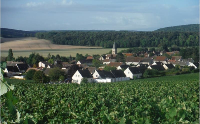 Entre Azy et Barbillon - Azy-sur-Marne