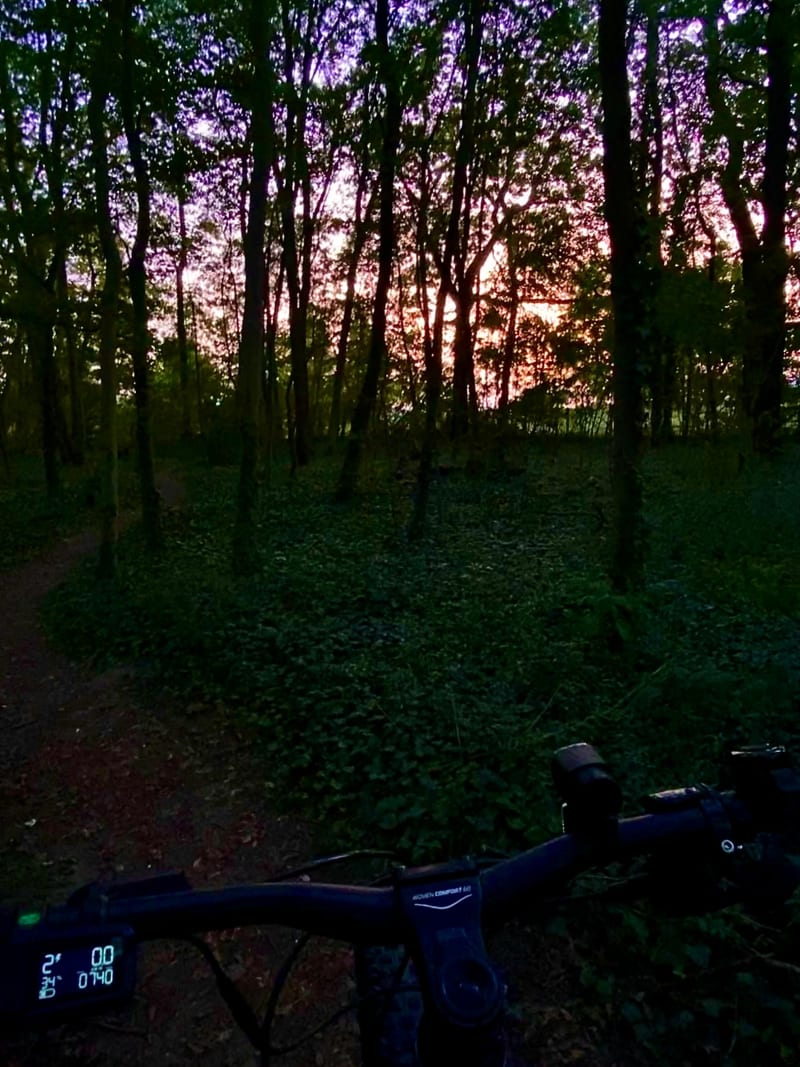 Les alentours du bois de Boissy - Le Plessis-Bouchard