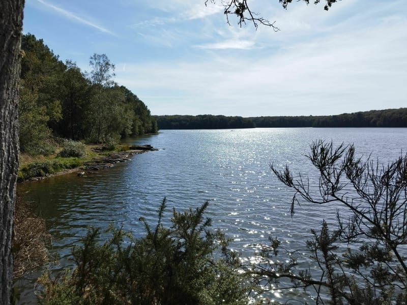 Autour du lac de Trémelin - Iffendic