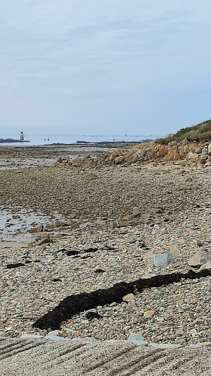 Belle promenade en bord de la rivière le Jaudy - Kerbors