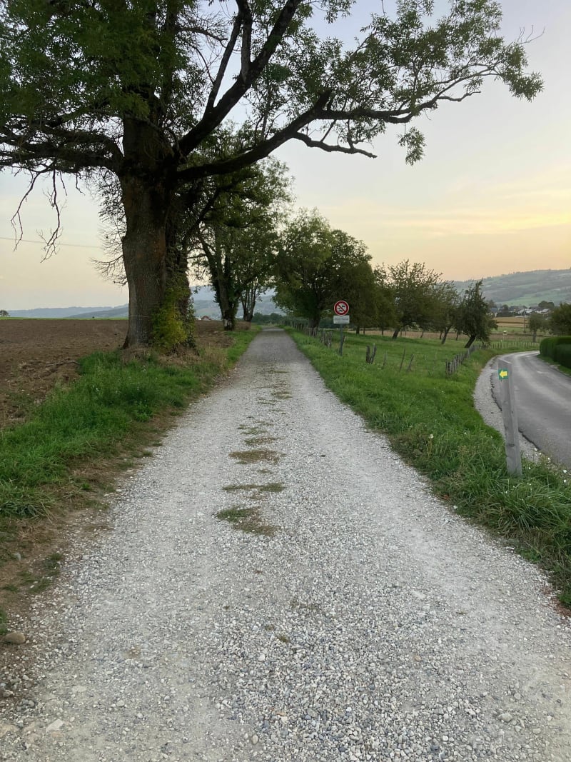 Boucle de la Combe, par Bornachon - Sillingy