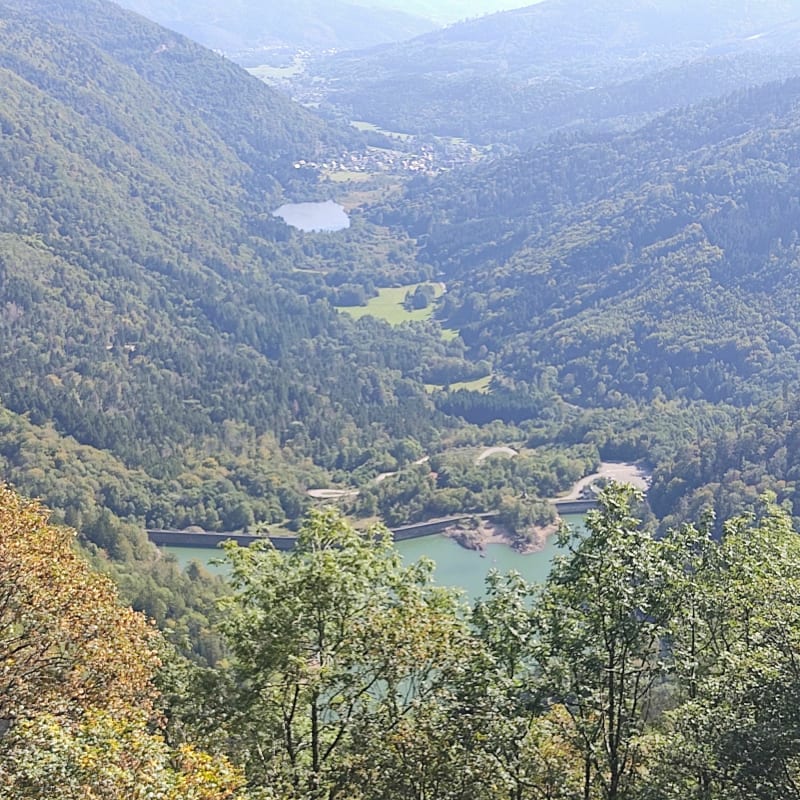 Lac d'Alfeld le circuit des fermes disparues - Sewen