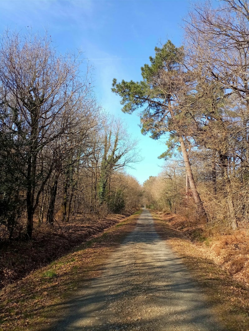 De l'Herber à Chauché en passant par Grasla - L'Herbergement