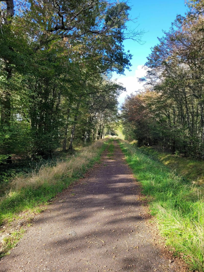 Boucle de l'étang de la Grande Rue - Breteau