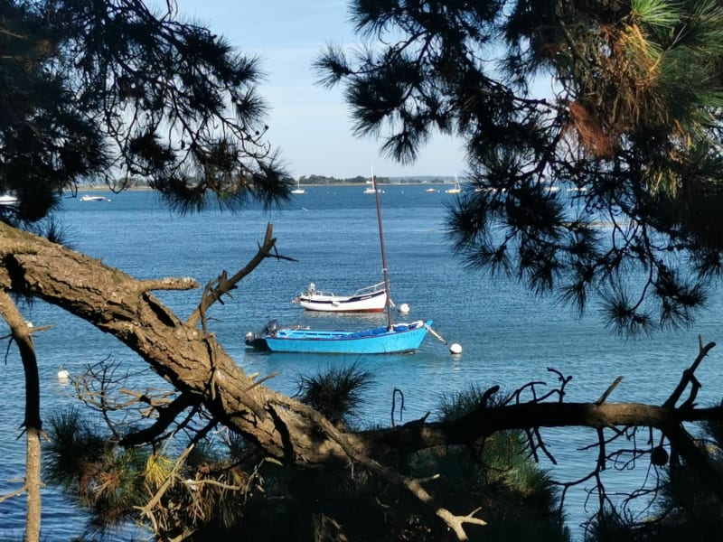 Rando sur les rives du golfe du Morbihan entre la Pointe de Bernon et de l'Ours - Sarzeau