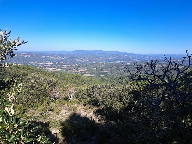 Sur les hauteurs de Céreste - Céreste