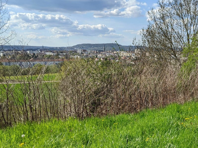 Marche entre le Pas du loup et La Horgne - Montigny-lès-Metz