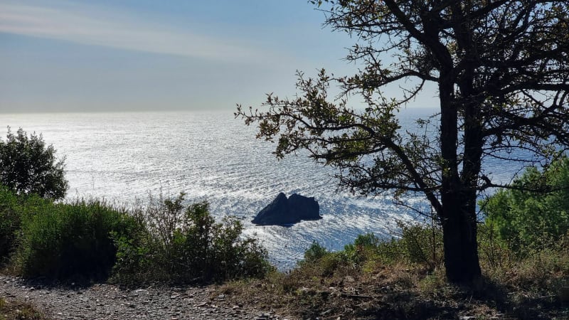 Boucle du Bau Rouge dans la forêt de Janas - La Seyne-sur-Mer