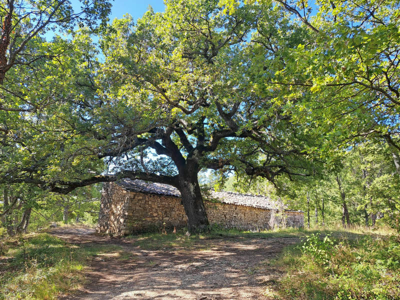 Le pigeonnier de Limans - Limans
