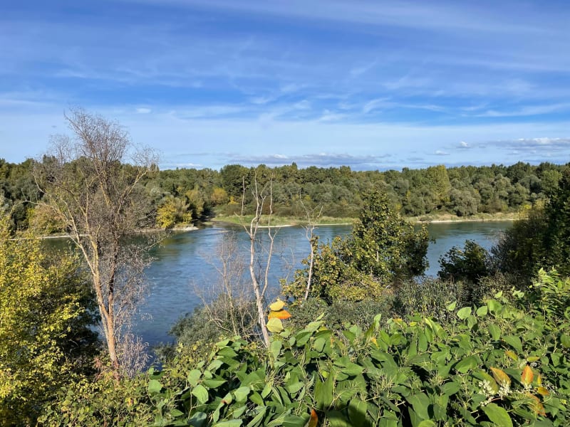 Balade vers le confluent Ain-Rhône depuis Chavanoz - Chavanoz