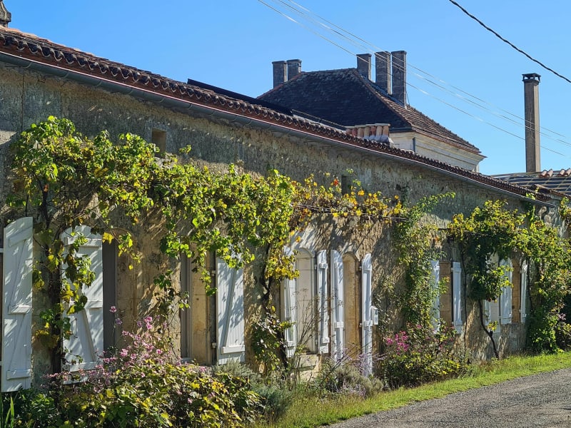 Dans la forêt du Bois Brûlé - La Couronne