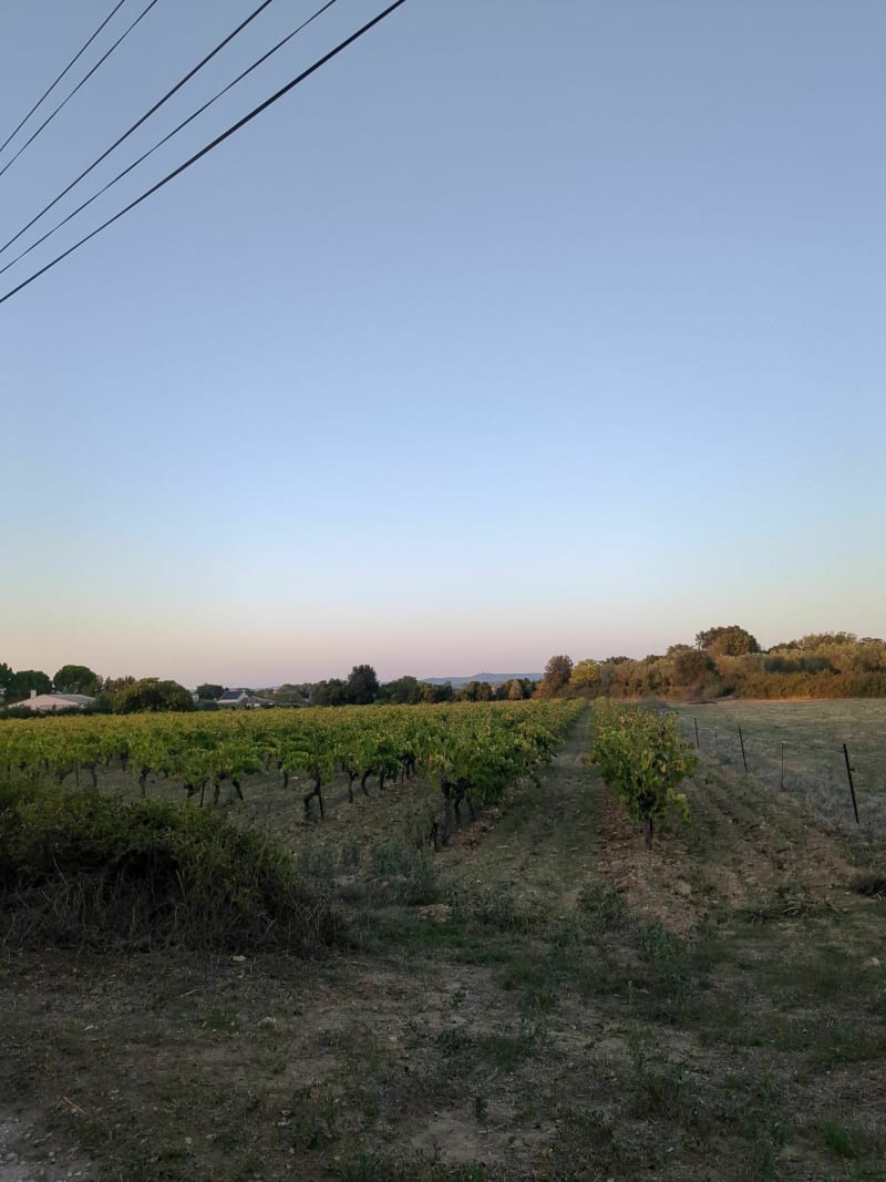Belle balade autour du sentier des jardiniers invisibles - Villevieille