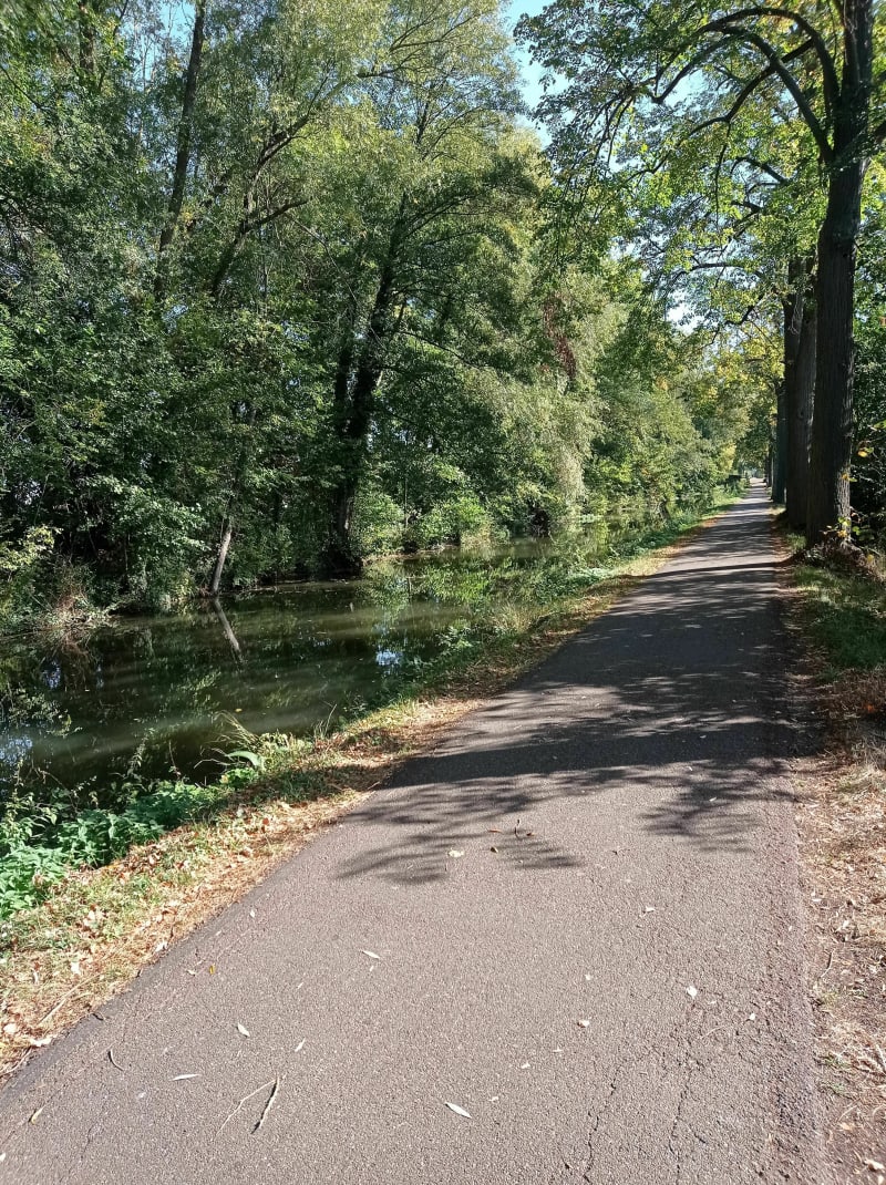 Uitstapje naar het Bruchekanaal en enkele Elzasser dorpjes vanuit Straatsburg - Illkirch-Graffenstaden