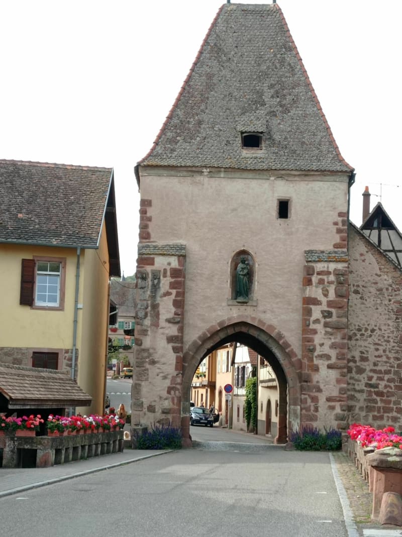 Découverte à vélo de villages du Piémont des Vosges. - Illkirch-Graffenstaden