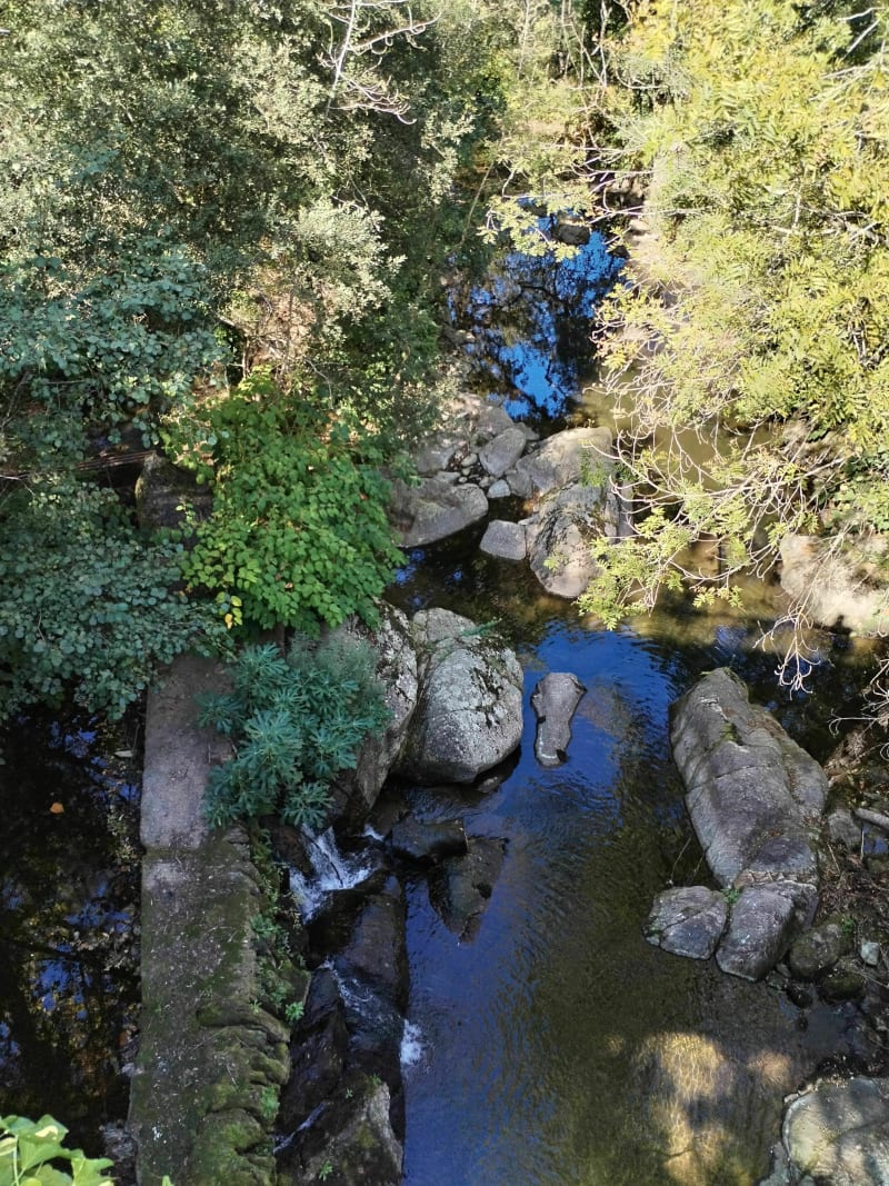 Balade entre Saint Pons de Thomières et Sain t Amans - Saint-Pons-de-Thomières