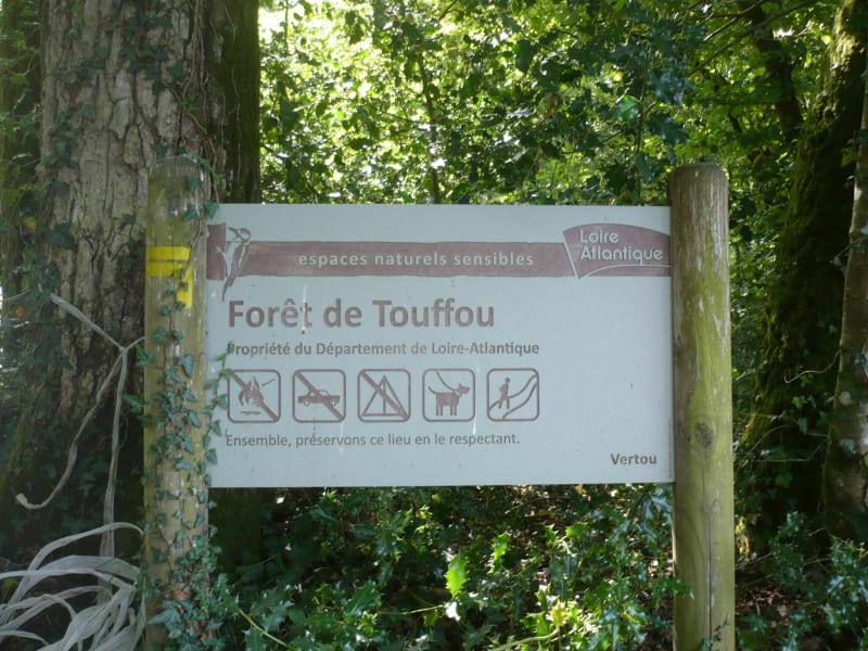 Forêt de Touffou - Vertou