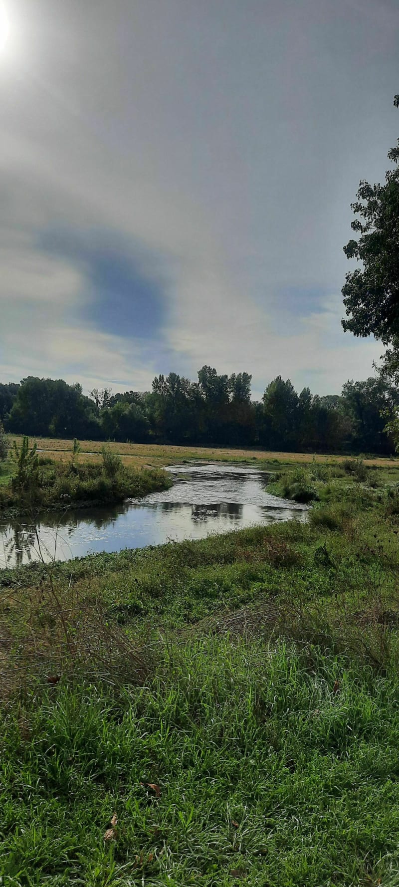 Bords de l'Authion et de la Loire - Les Ponts-de-Cé