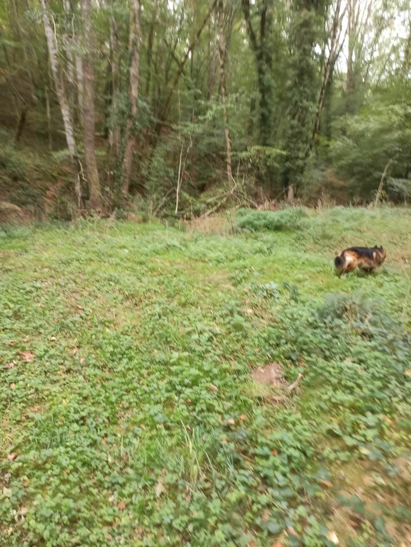Balade entre Puy de Dôme et Creuse - Saint-Maurice-prés-Pionsat