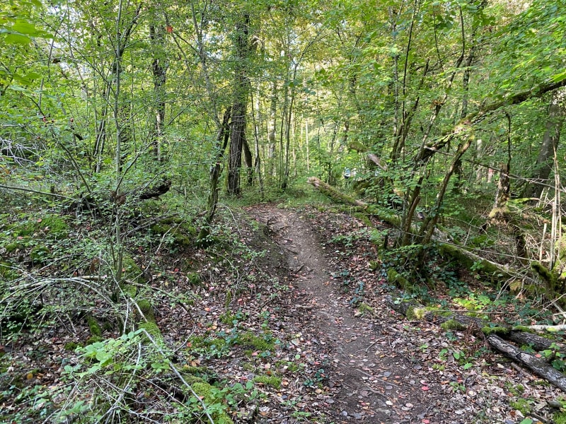 Dans les bois d’Eix, à proximité de Verdun - Eix