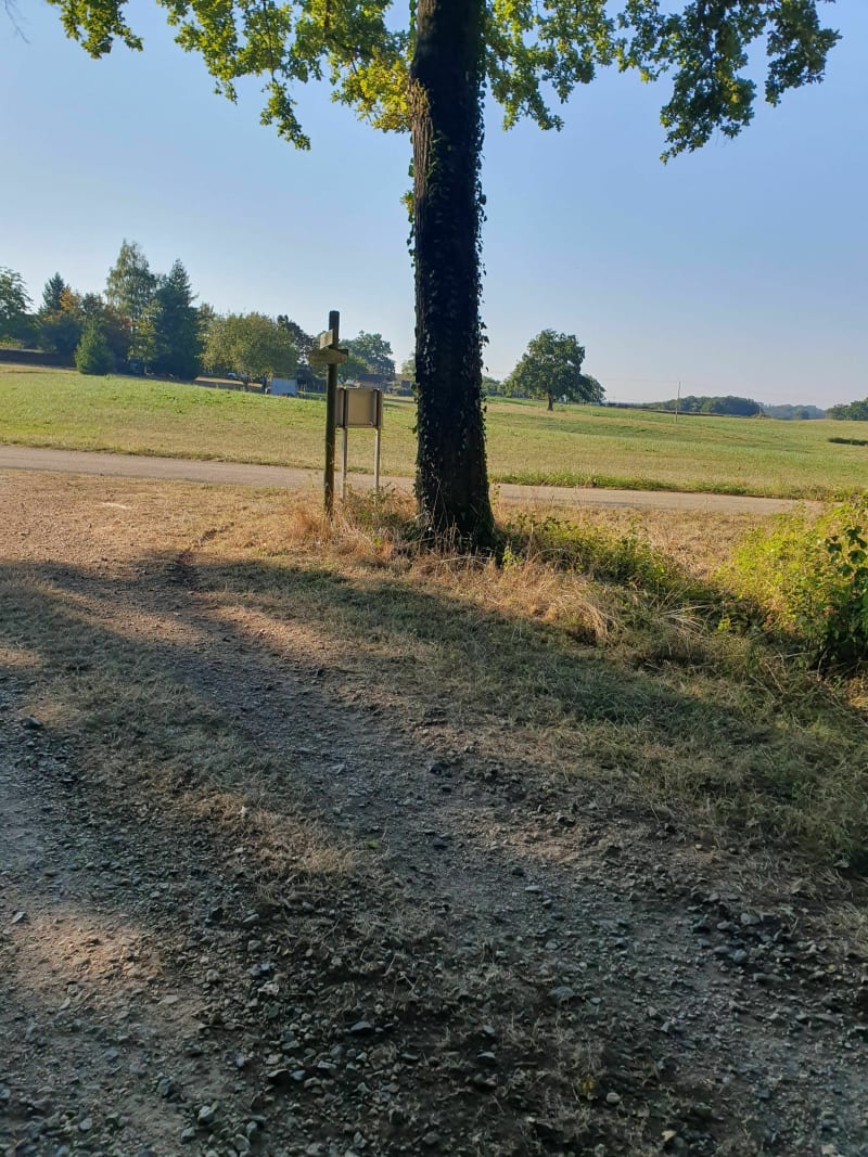 Bois de Fougemagne - Coligny