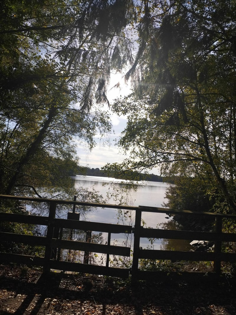 Lac de Gruelleau - Treffieux